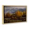 Stupell Industries Morning In Montana Mountains Floating Frame By Paco Young